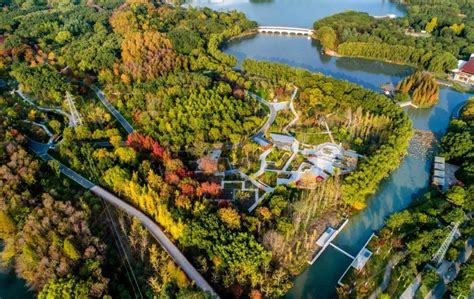 崑山哪個公園最好玩：多角度探索與比較分析